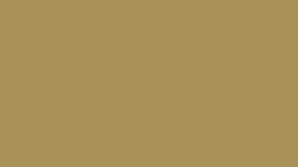 brown beige background color for yantai huasheng international school website